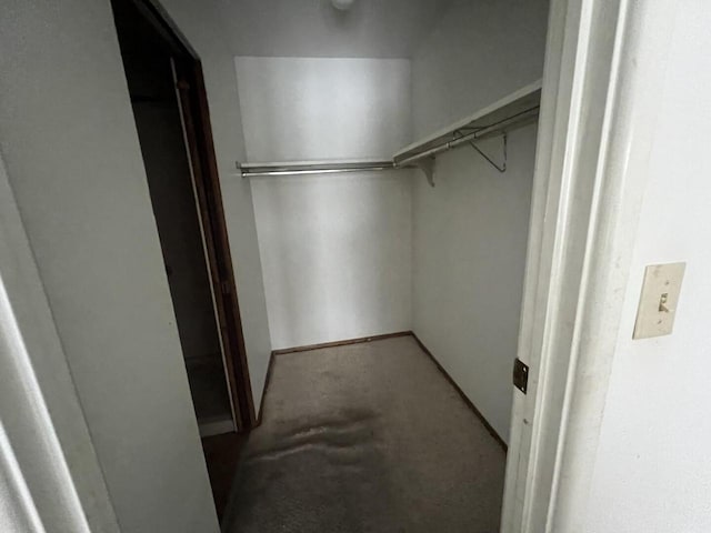 walk in closet featuring carpet