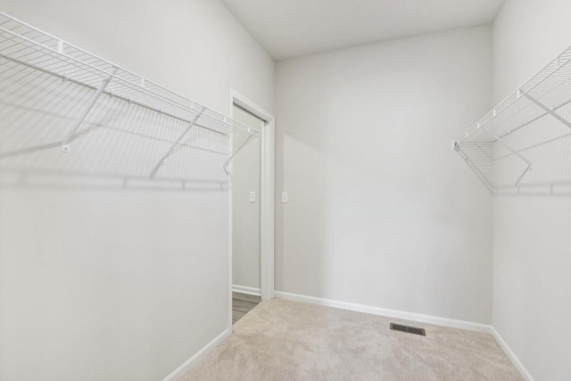 walk in closet featuring carpet floors