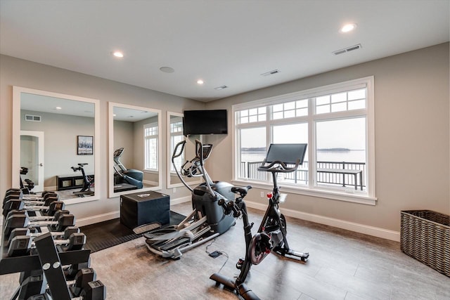 exercise room featuring hardwood / wood-style flooring