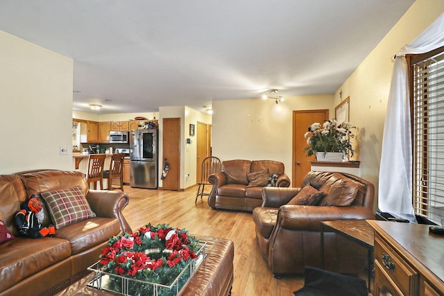 living room with light hardwood / wood-style flooring