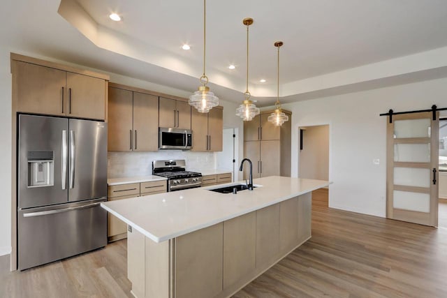 kitchen with a barn door, appliances with stainless steel finishes, a kitchen island with sink, and a tray ceiling