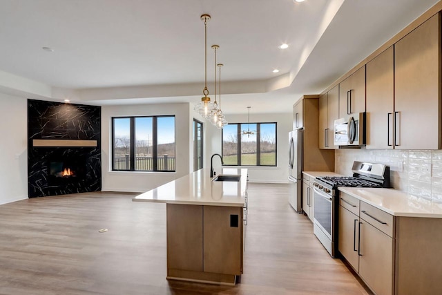 kitchen with tasteful backsplash, an island with sink, sink, stainless steel appliances, and light hardwood / wood-style flooring