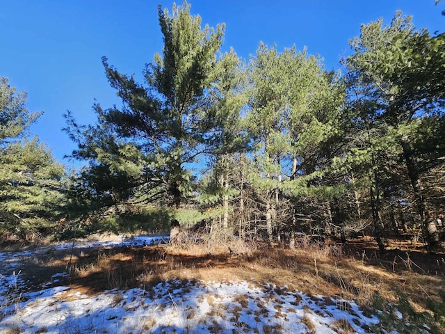 view of snow covered land