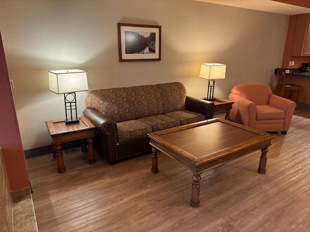 living room featuring light hardwood / wood-style floors