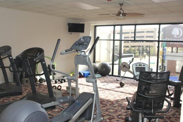 workout area with carpet and ceiling fan