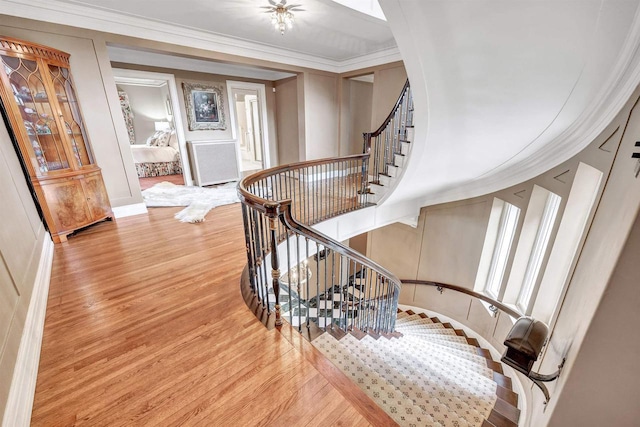 304 Braebourne Ct, Green Bay, WI 54301 - stairs with crown molding and wood-type flooring