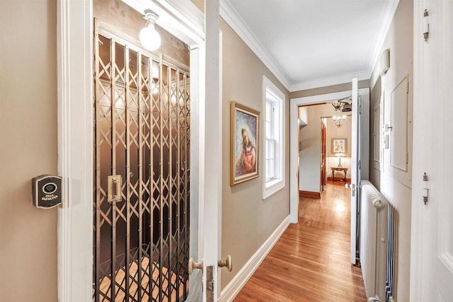 304 Braebourne Ct, Green Bay, WI 54301 - corridor with wood-type flooring, crown molding, and radiator