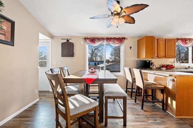 dining space with dark hardwood / wood-style floors and ceiling fan