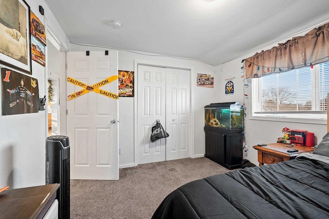 carpeted bedroom featuring a closet