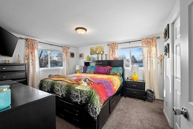 bedroom with carpet floors and multiple windows