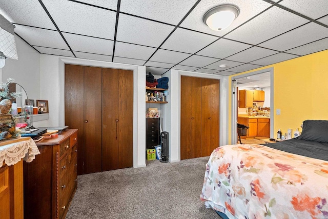 bedroom with carpet floors