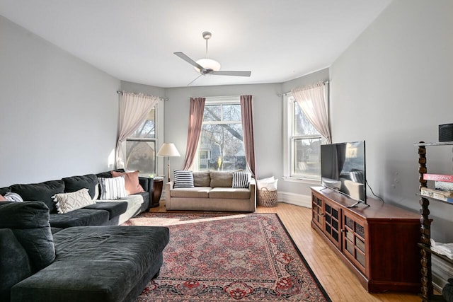 living room featuring ceiling fan and light hardwood / wood-style flooring