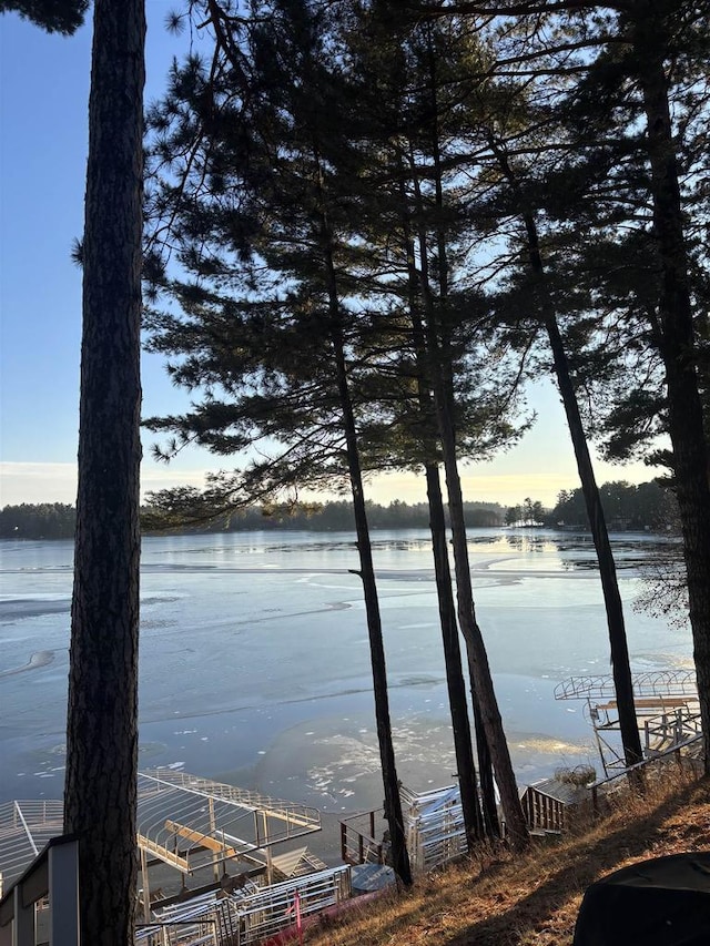 water view featuring a dock