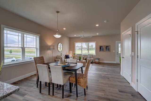 dining space with hardwood / wood-style flooring and ceiling fan