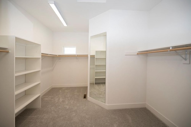 spacious closet with light carpet