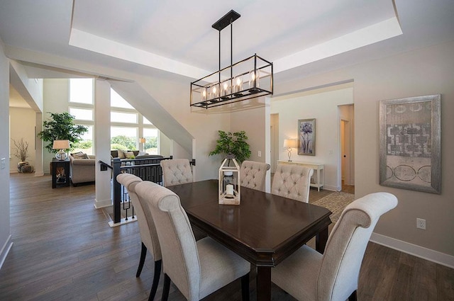 dining room with dark hardwood / wood-style flooring and a tray ceiling