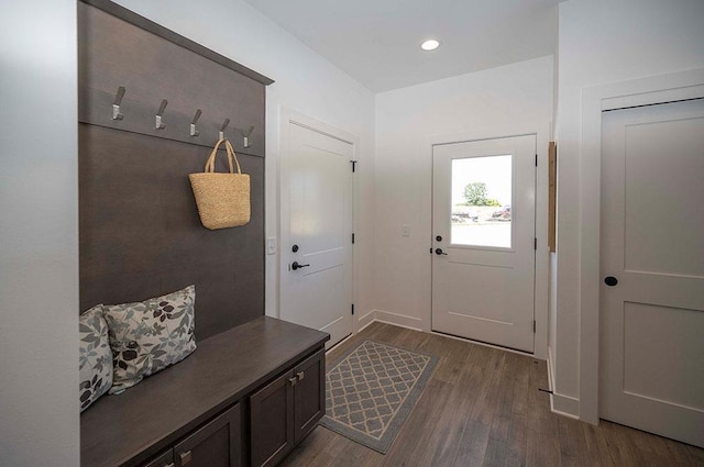 mudroom featuring dark wood-type flooring