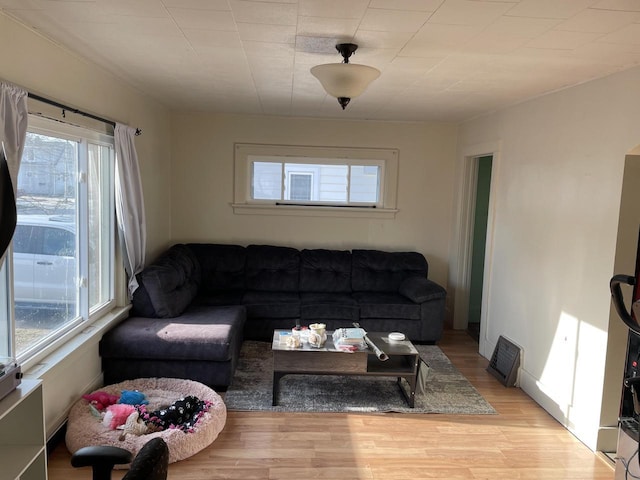 living room featuring plenty of natural light and light hardwood / wood-style flooring