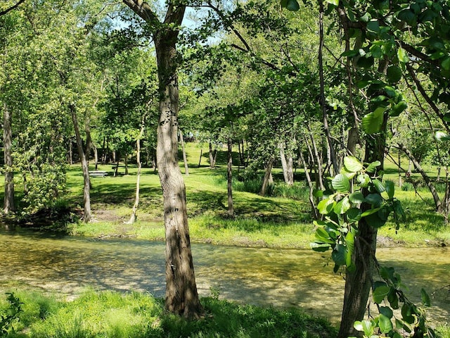 view of yard with a water view