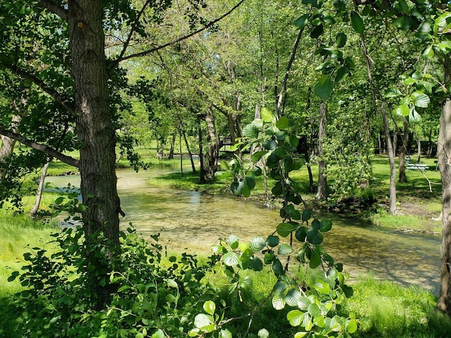 view of landscape featuring a water view