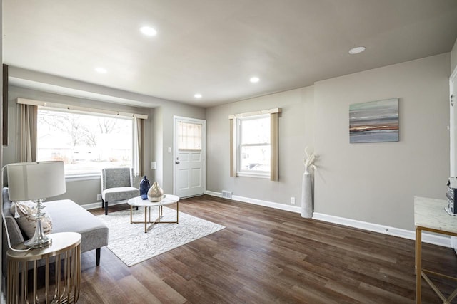 living area featuring dark wood-type flooring