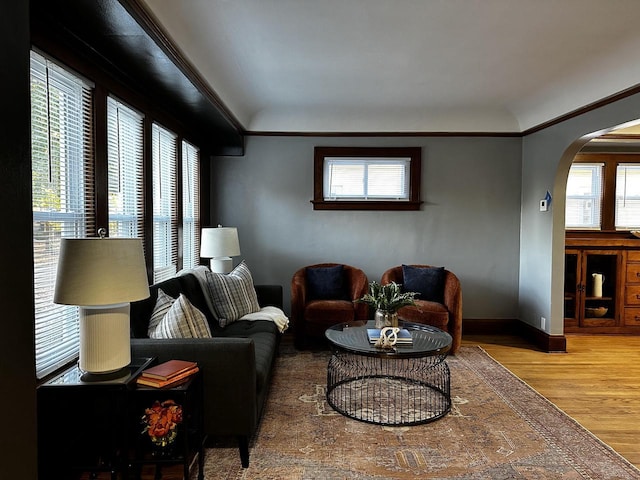 living room with wood-type flooring