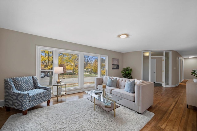 living room featuring dark wood-type flooring