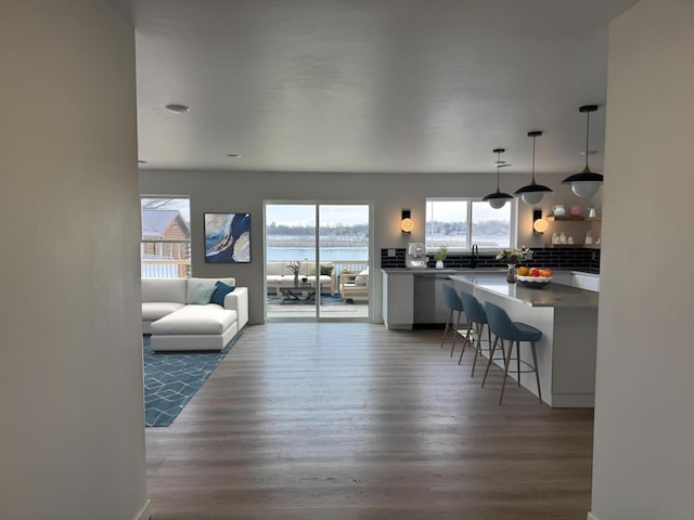 living room with dark hardwood / wood-style flooring, a water view, and sink