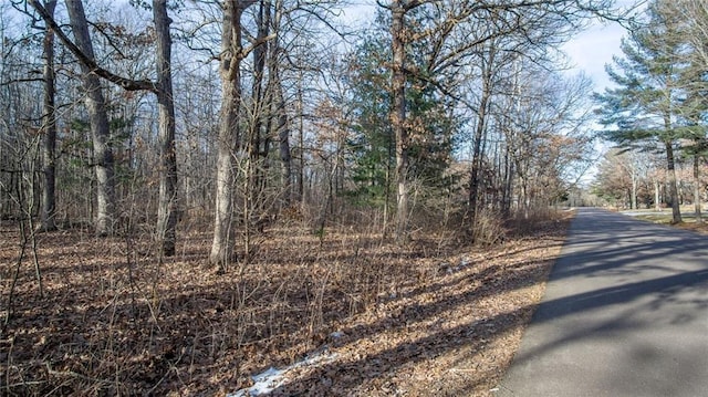 LOT1 159th St, Chippewa Falls WI, 54729 land for sale