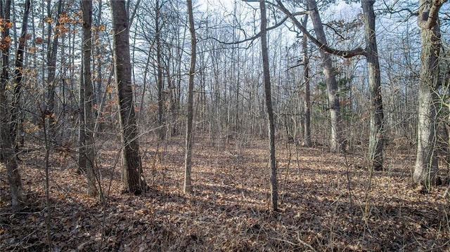 Listing photo 2 for LOT1 159th St, Chippewa Falls WI 54729