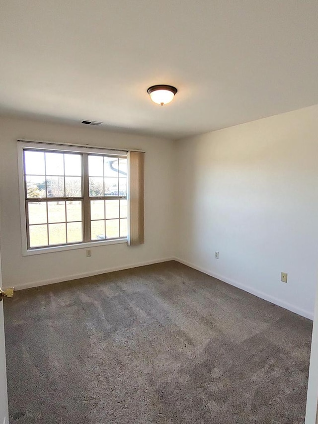 empty room with carpet and a wealth of natural light