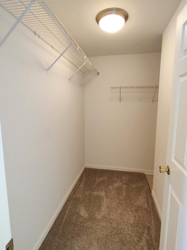 spacious closet with dark colored carpet