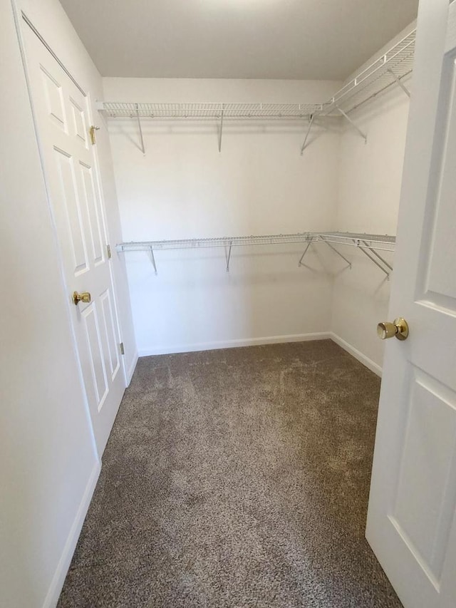 spacious closet with dark carpet