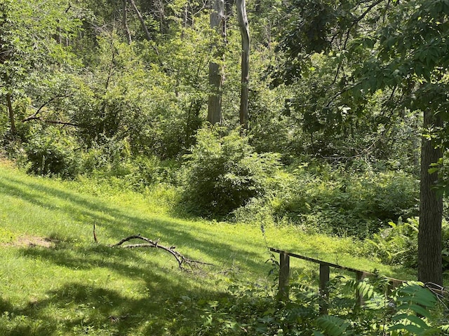 view of local wilderness