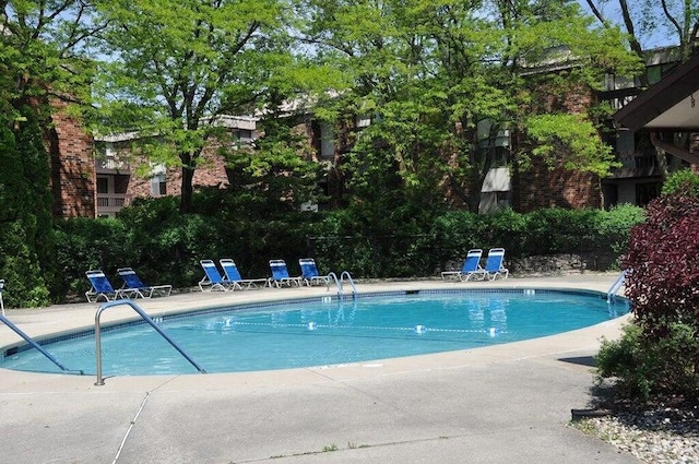 view of pool featuring a patio