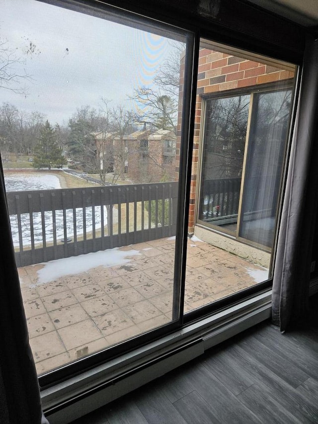 entryway with hardwood / wood-style floors, a healthy amount of sunlight, and a water view