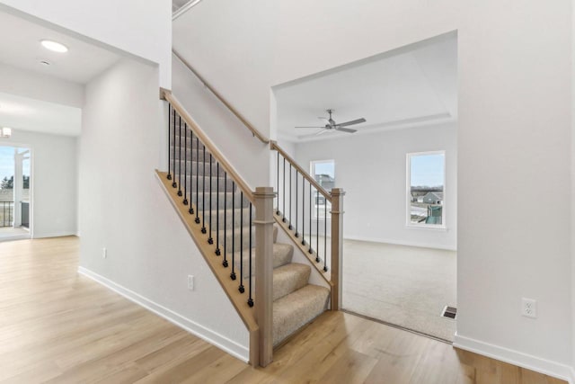 staircase with ceiling fan and hardwood / wood-style floors