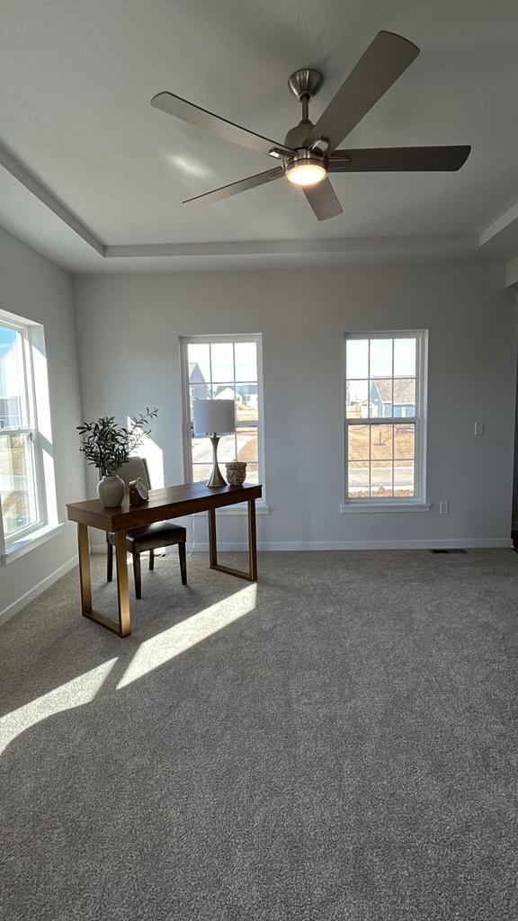 office space with carpet flooring, baseboards, and plenty of natural light