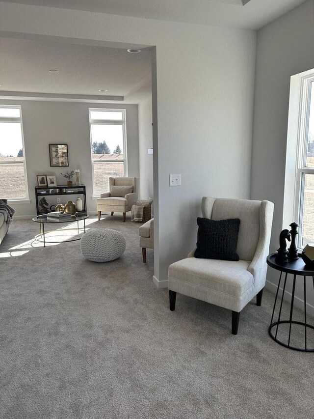 living area with baseboards and carpet flooring