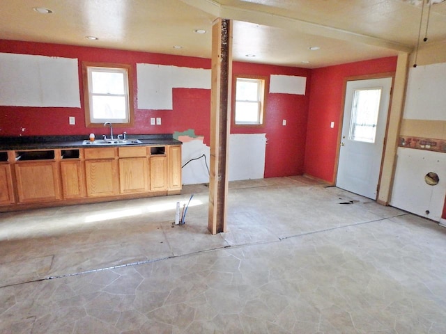 kitchen with plenty of natural light and sink