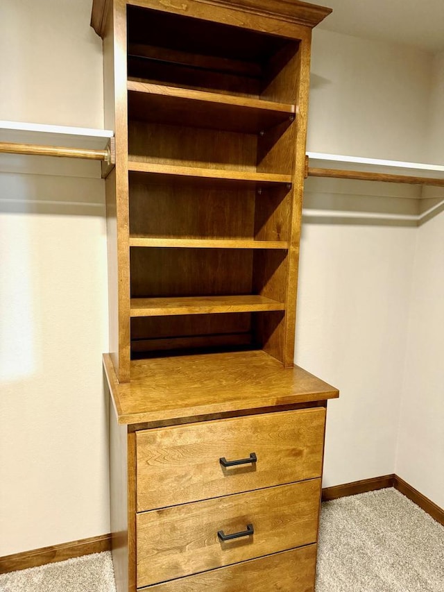 spacious closet featuring carpet floors