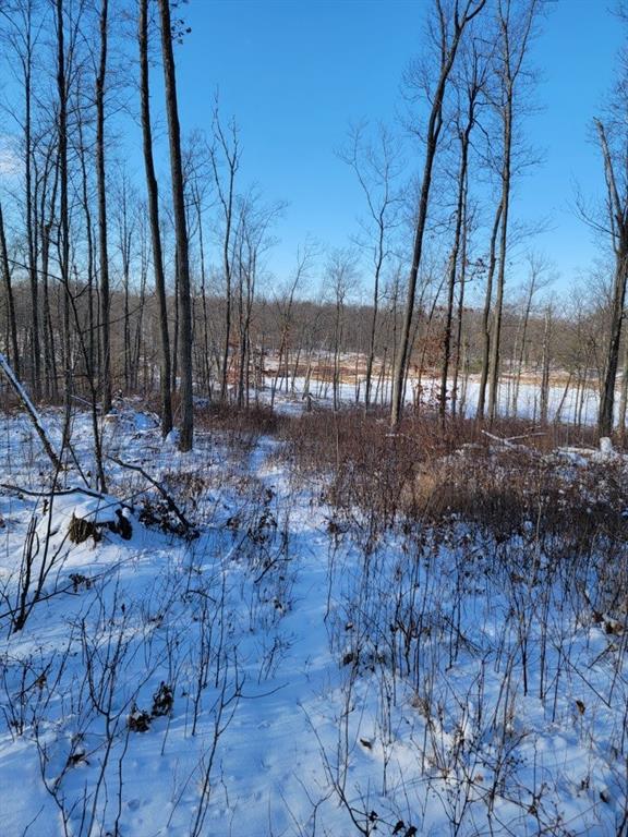 ON Rollingwood Rd, Stone Lake WI, 54876 land for sale