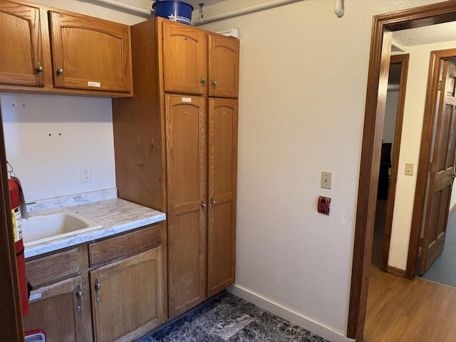 kitchen featuring dark wood-type flooring and sink