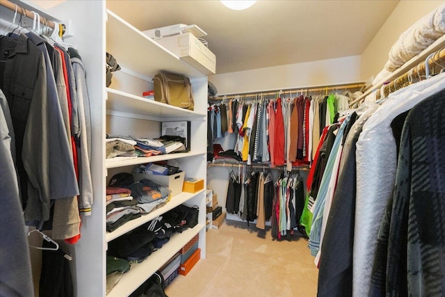 spacious closet with light carpet