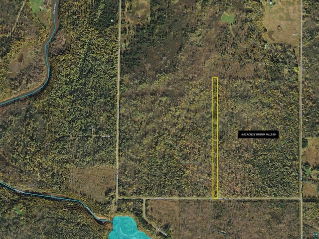 6.02ACRES E Orienta Falls Rd, Port Wing WI, 54865 land for sale