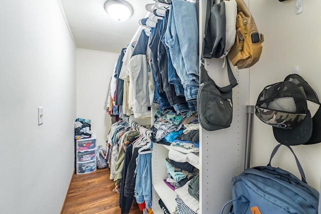 walk in closet with dark wood-type flooring