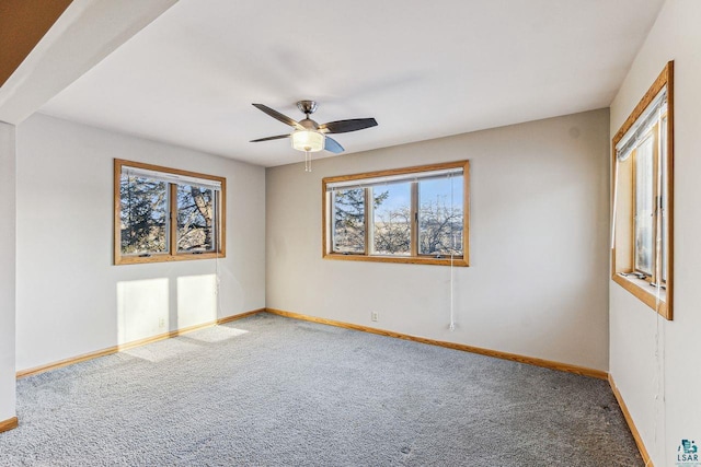 empty room featuring carpet flooring and ceiling fan