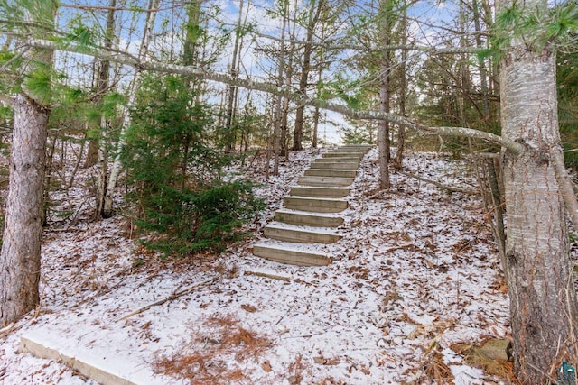 view of snowy view