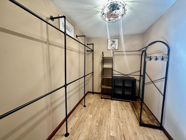 walk in closet featuring light hardwood / wood-style flooring