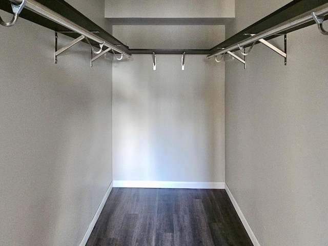 walk in closet featuring dark hardwood / wood-style floors